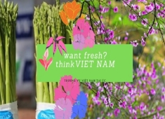 Đa dạng hoá nông sản tươi xuất khẩu sang Úc